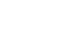 Tecnifibre_logo